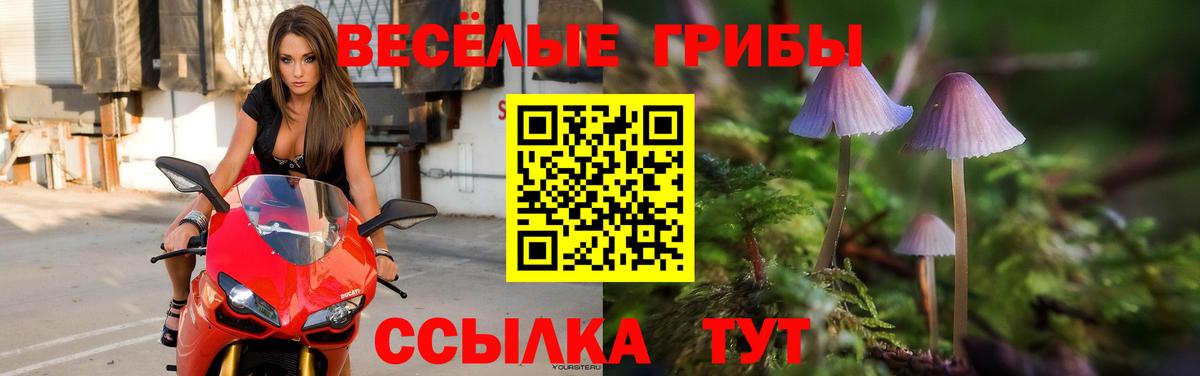 Галлюциногенные грибы Magic Shrooms  Вход с VPN  Электросталь 